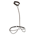 CALEXOTICS - EUPHORIA CHAIN HALTER COLLAR & LEASH PLUS SIZE