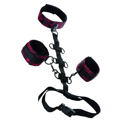 CALEXOTICS - SCANDAL COMPORAL SUPPORT WITH NECK